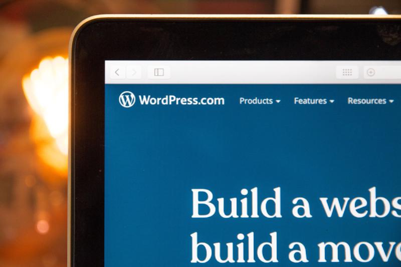 Featured image of post 冰布子的简易Wordpress建站指南